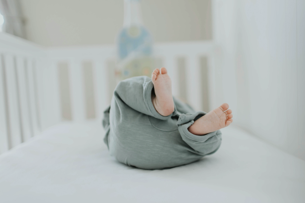 Dr Sepideh Rouhi – Dr Sepideh Rouhi